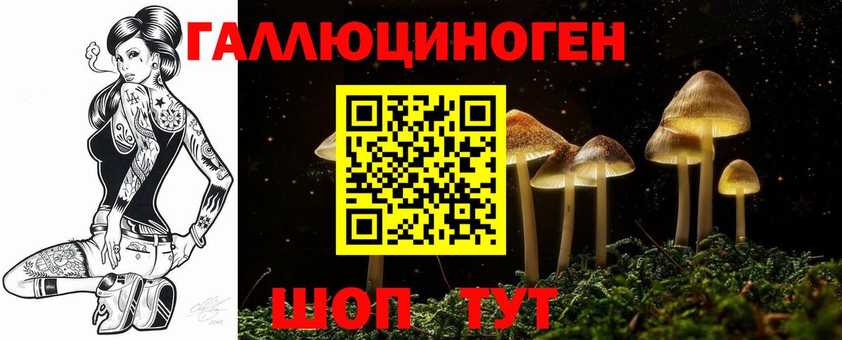 Котовск  Галлюциногенные грибы прущие грибы  Вход с VPN 